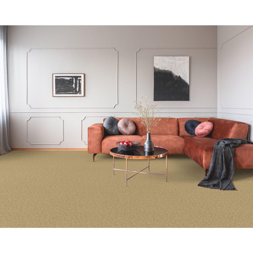 Dixie Home Simplicity Carpet in Pebble Mosaic, , large