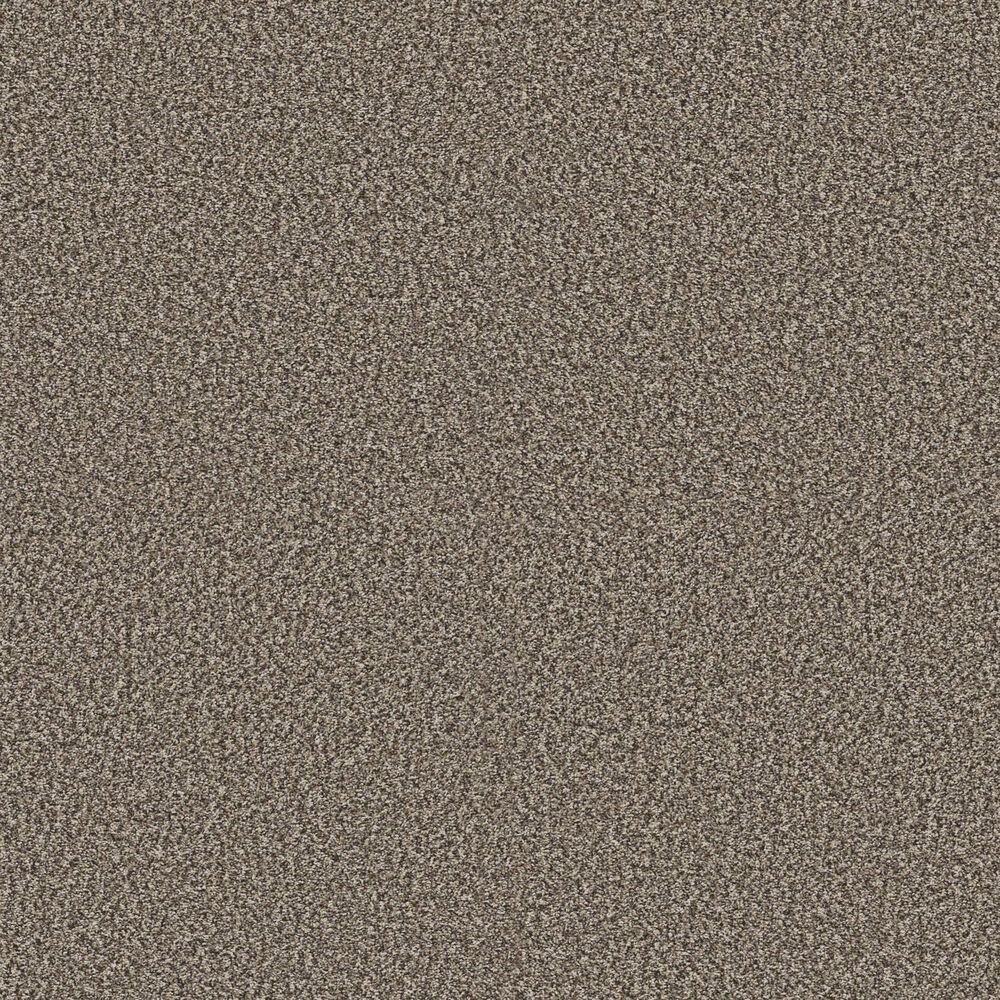 Shaw Bold Move Plus Carpet in Bit of Beige, , large