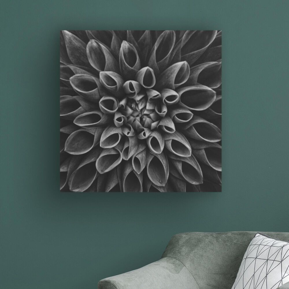 Timberlake Lotte Gronkjar &#39;Dahlia Low Key&#39; 24&quot; x 24&quot; Canvas Art, , large