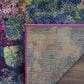 Safavieh Monaco MNC225D-1218 12" x 18" Pink/Multi Area Rug, , large