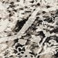 RIZZY Calabria Oriental 5"3" x 7"6" Neutral and Black Area Rug, , large