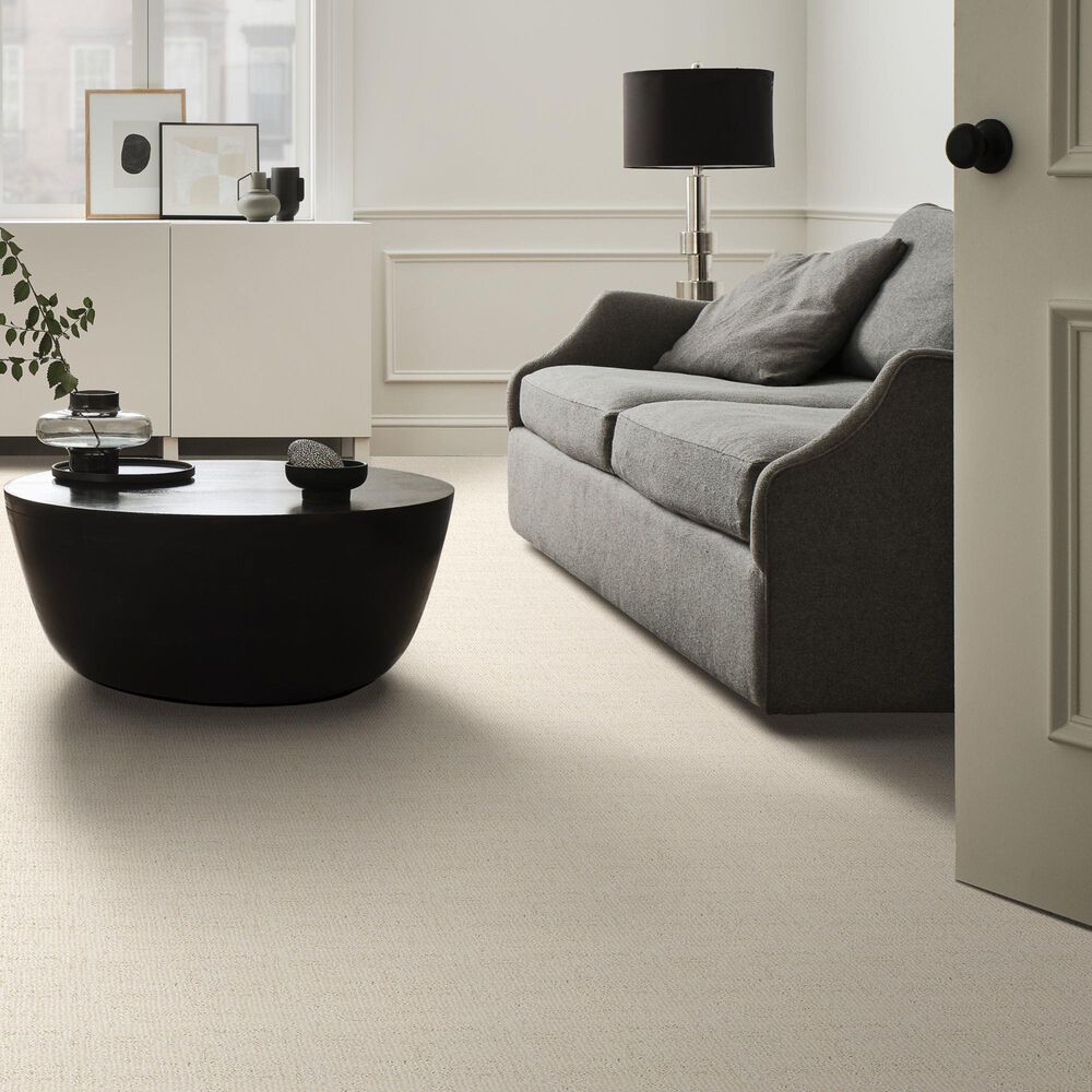 Anderson Tuftex Diego Carpet in Haven, , large