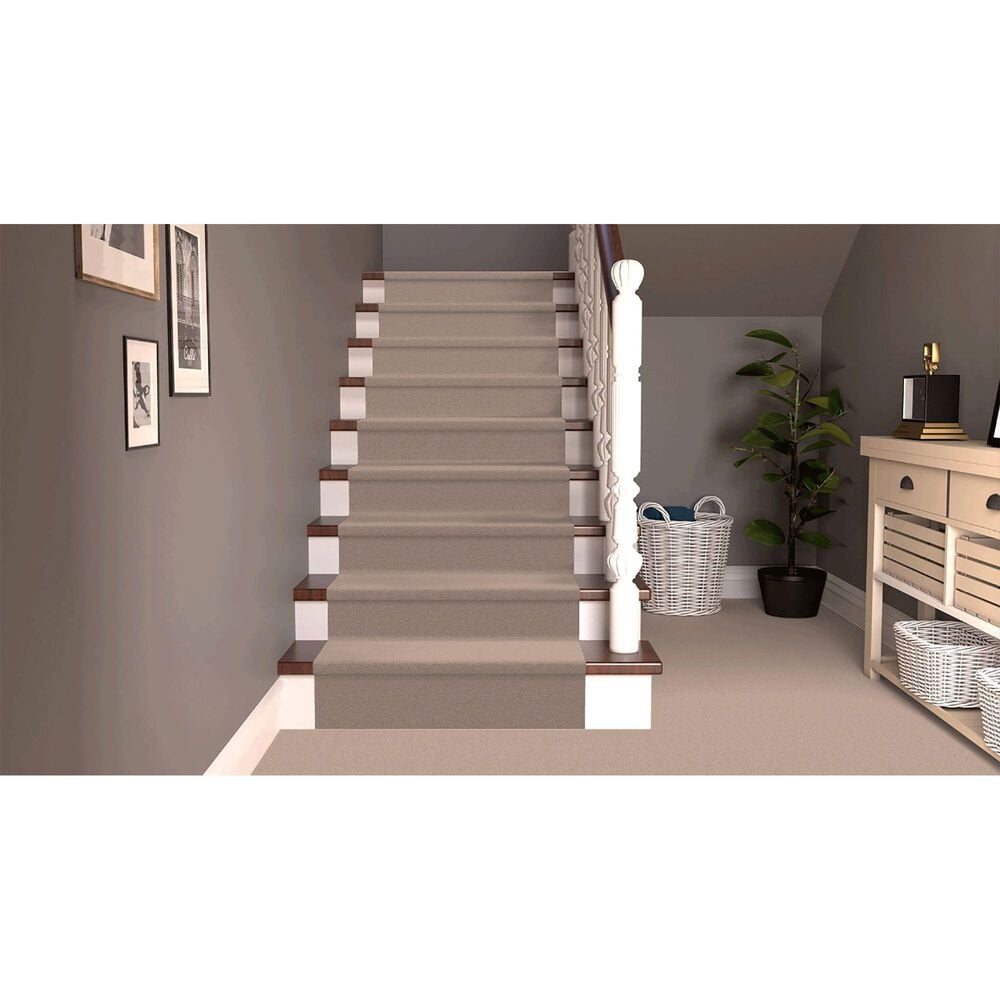 Dixie Home Neverland Carpet in Hedge, , large