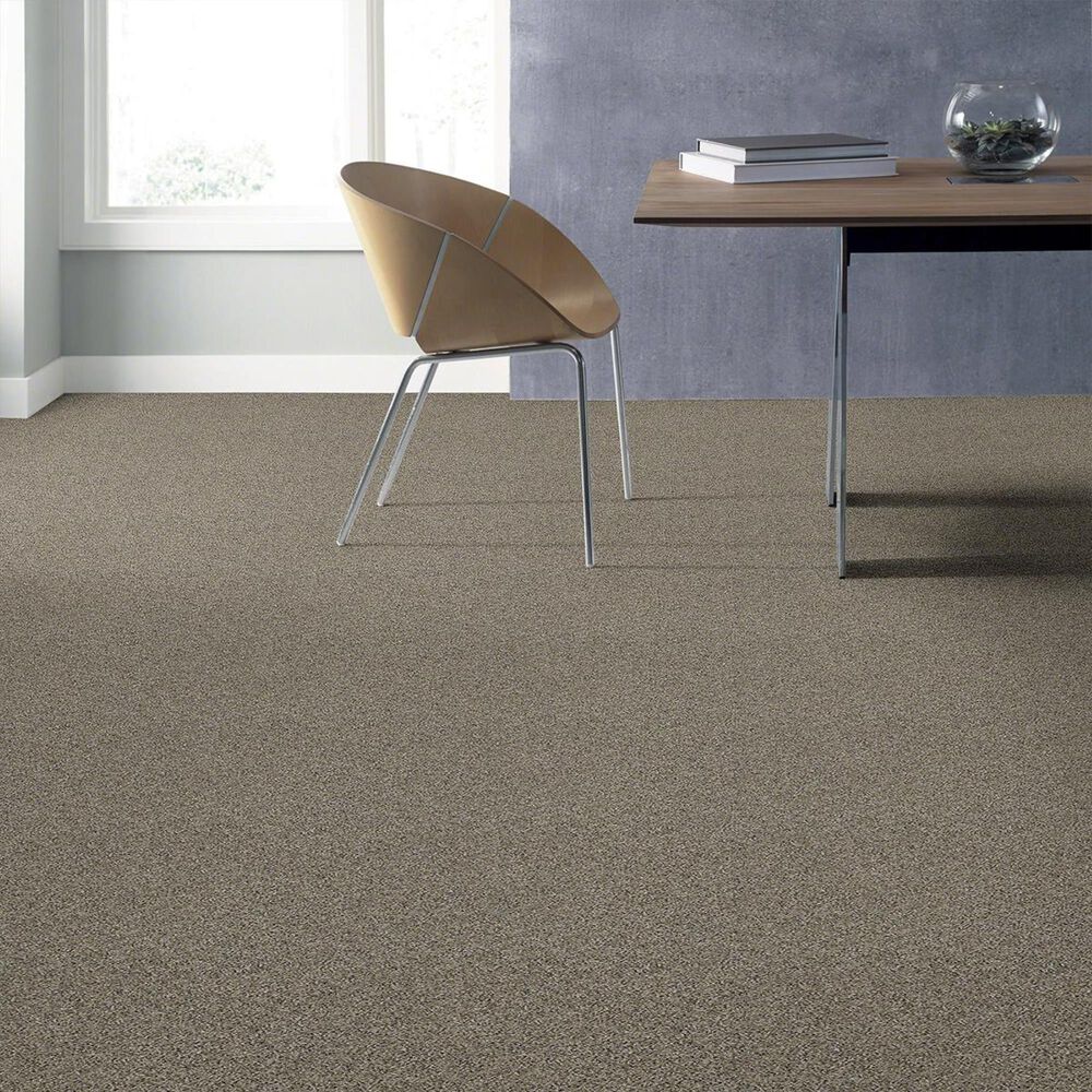 Shaw Frosting Net Carpet in Echo, , large