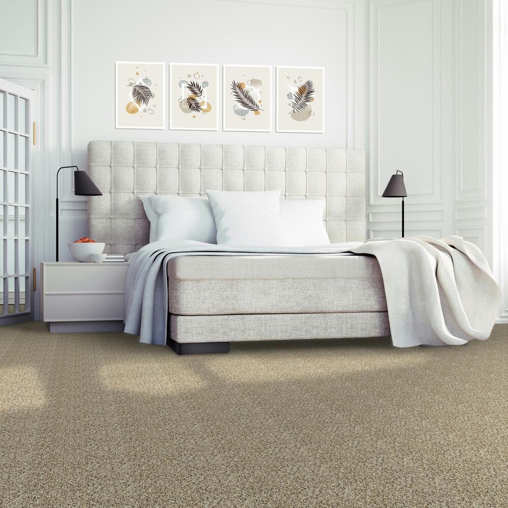 Mohawk Assorted Elements II Carpet in Cross Country, , large