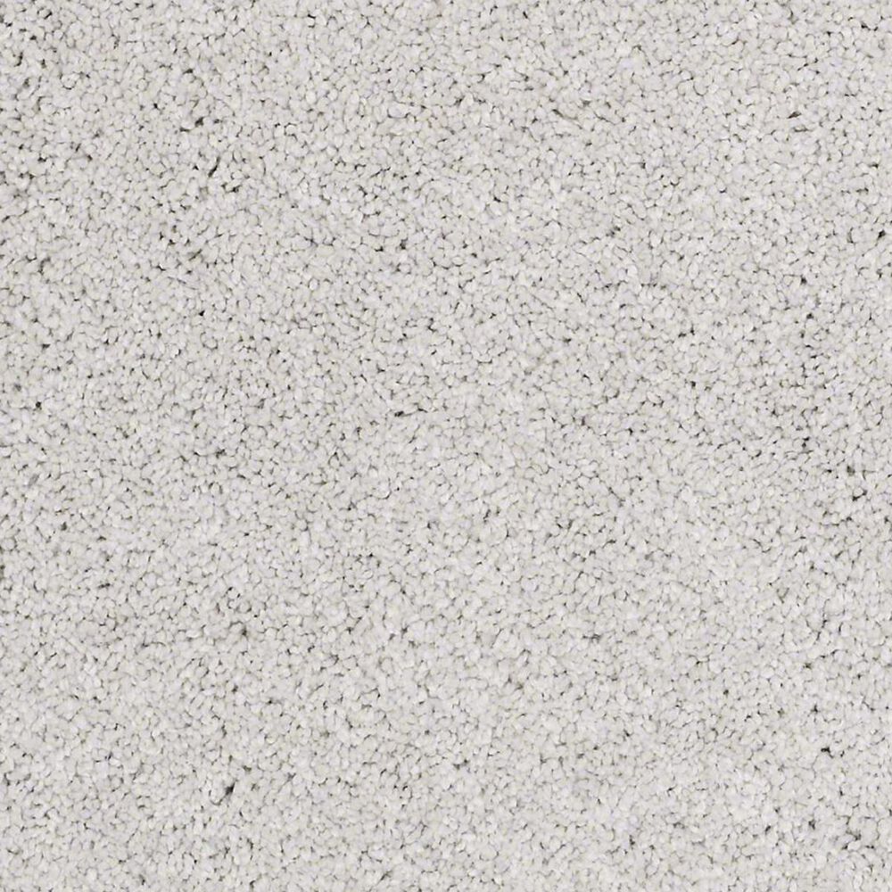 Anderson Tuftex Barracan Classic I Carpet in Silver Lining, , large