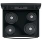GE Appliances 30" Free-Standing Electric Range in Black, , large
