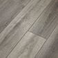 Shaw Tenacious HD Plus Accent Cavern 7" x 48" Luxury Vinyl Plank, , large