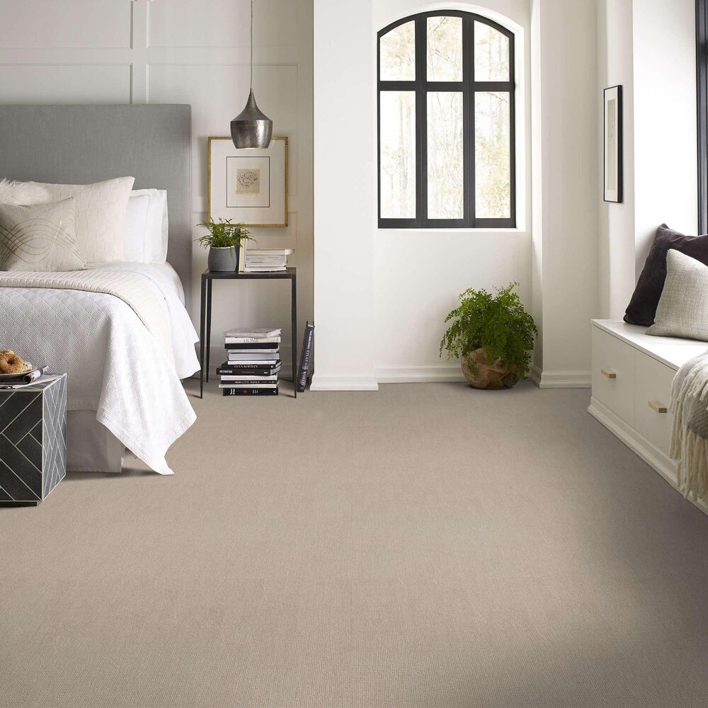 Shaw Sierra Vista Carpet in Passageway, , large
