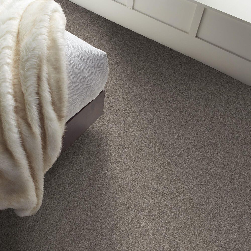 Shaw Yes You Can I Carpet in Chic Greige, , large