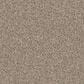 Godfrey-Hirst Candor Carpet in Artful, , large