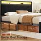 HOMLUX Full Upholstered Platform Storage Bed Frame in Black, , large