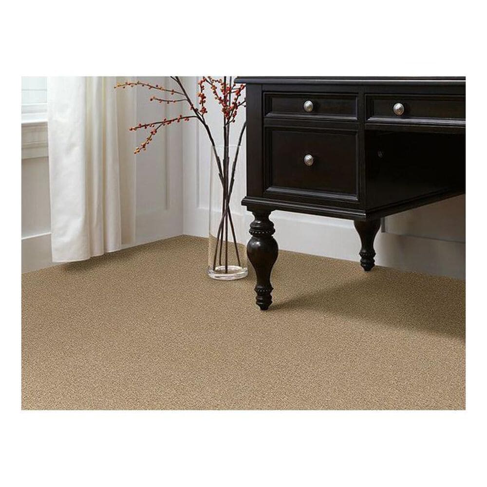 Shaw Phenomenal Carpet in Field Stone, , large