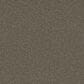 Dream Weaver Blazer I Carpet in Fawn, , large