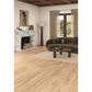 Mannington Adura Apex Antiquity Memento 8" x 72" Luxury Vinyl Plank, , large