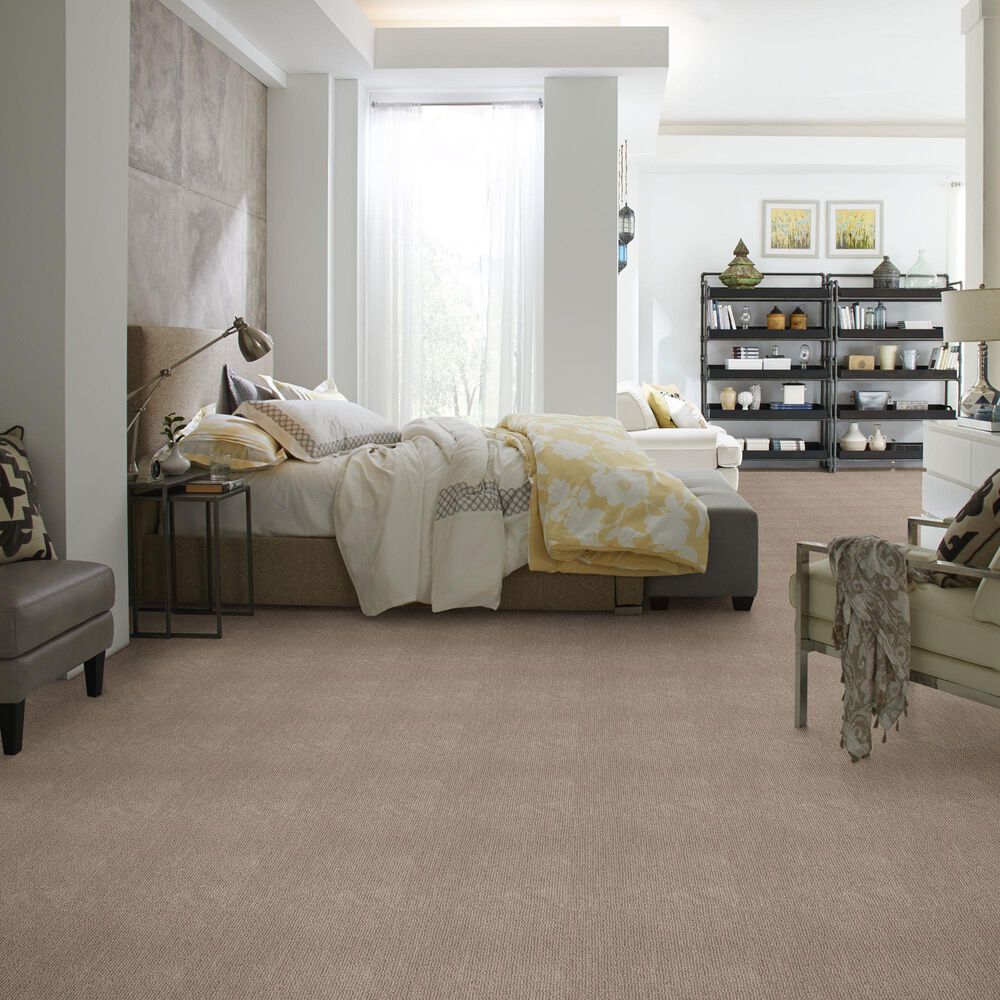 Anderson Tuftex Nomad Carpet in Plains, , large
