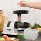 Excalibur All-in-One Nutrition System Cold Press Juicer in Silver, , large