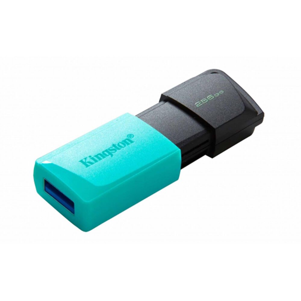 Kingston Technology DataTraveler Exodia M 256GB USB 3.2 Gen 1 Flash Drive in Red, , large