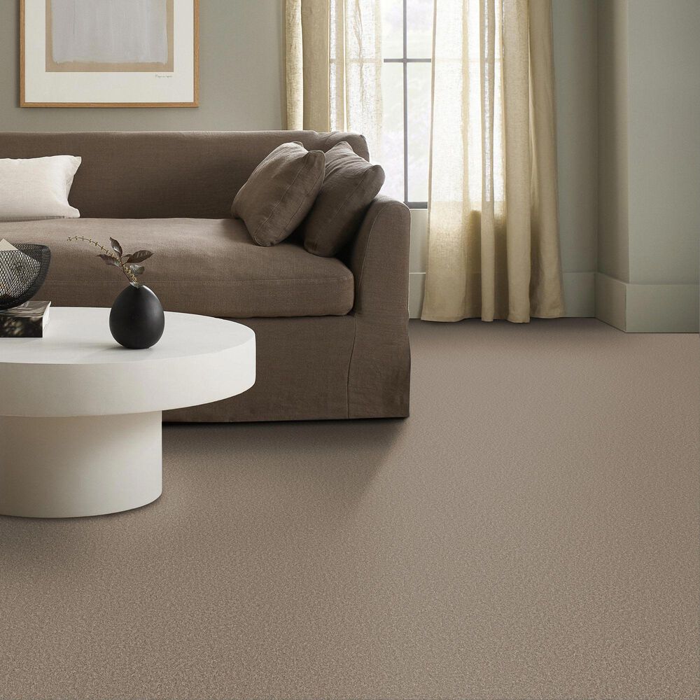Shaw Imaginable II Carpet in Clay, , large