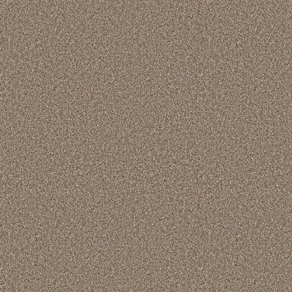 Shaw Higher Ground II Carpet in Rodeo, , large