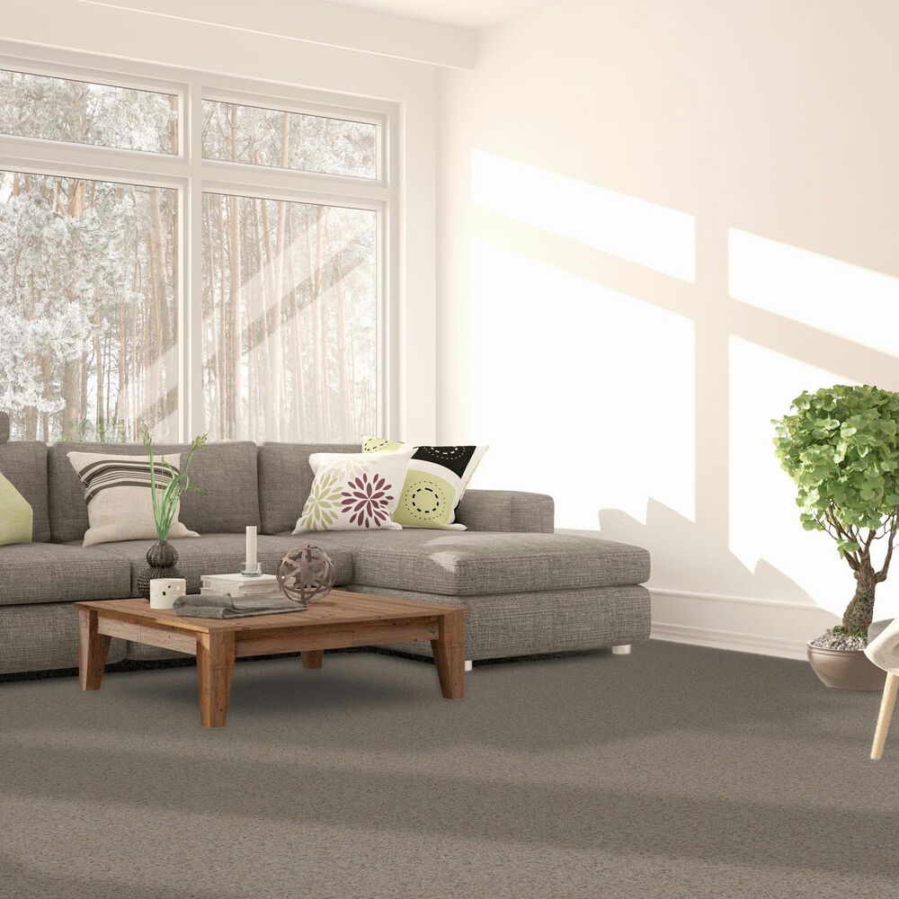 Dream Weaver Serene I Carpet in Cottondale, , large