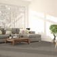 Dream Weaver Serene I Carpet in Cottondale, , large