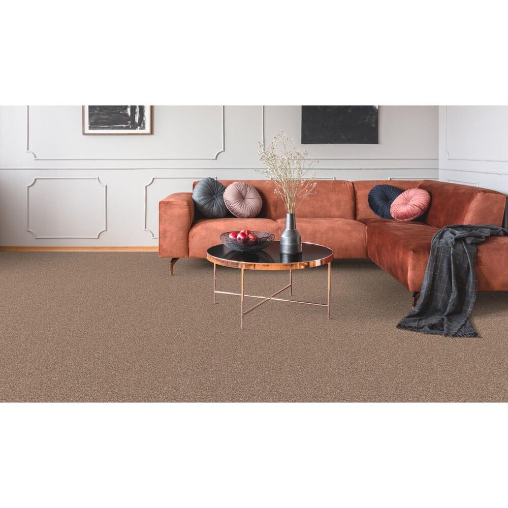 Dixie Home Bella Carpet in Bark, , large