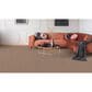 Dixie Home Bella Carpet in Bark, , large