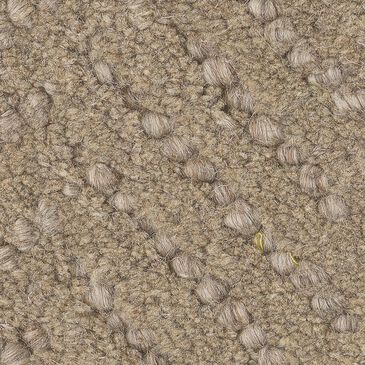 Anderson Tuftex Veranda Carpet in Alpaca, , large