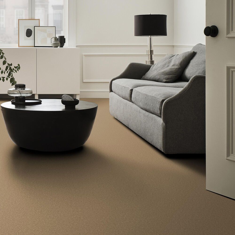 Anderson Tuftex Enduring Charm Carpet in Winter Wheat, , large