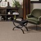 Anderson Tuftex Touchstone Carpet in Rugged, , large