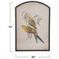Creative Coop Clementine 30" x 42" Bird Arched Framed Wall Decor in Multicolor, , large