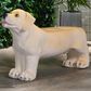 Hearth and Haven Outdoor MGO Dog Bench in Light Brown, , large