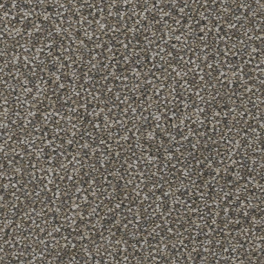 Phenix Bari Carpet in Traditional, , large