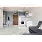 MS International Durban Grey 12" x 24" Porcelain Tile, , large