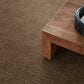 Anderson Tuftex Diego Carpet in Desert Beach, , large