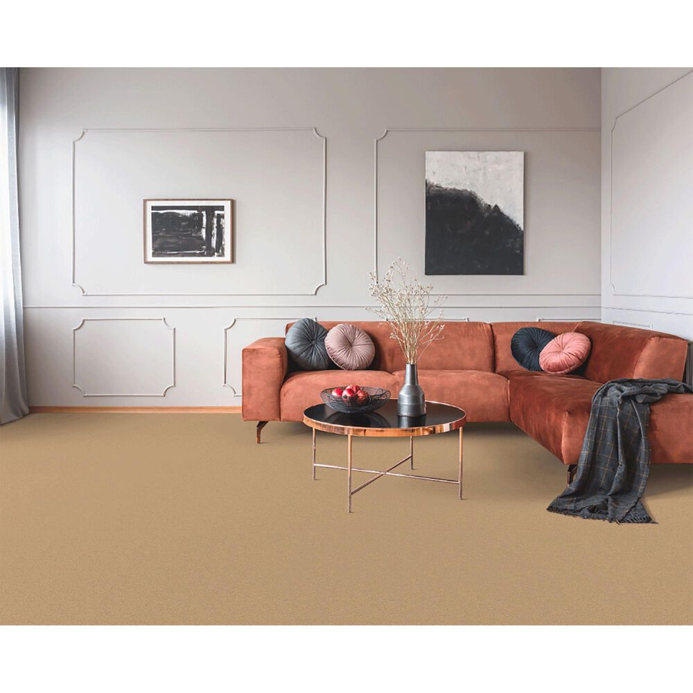 Dixie Home Neverland Carpet in Gettysburgh, , large