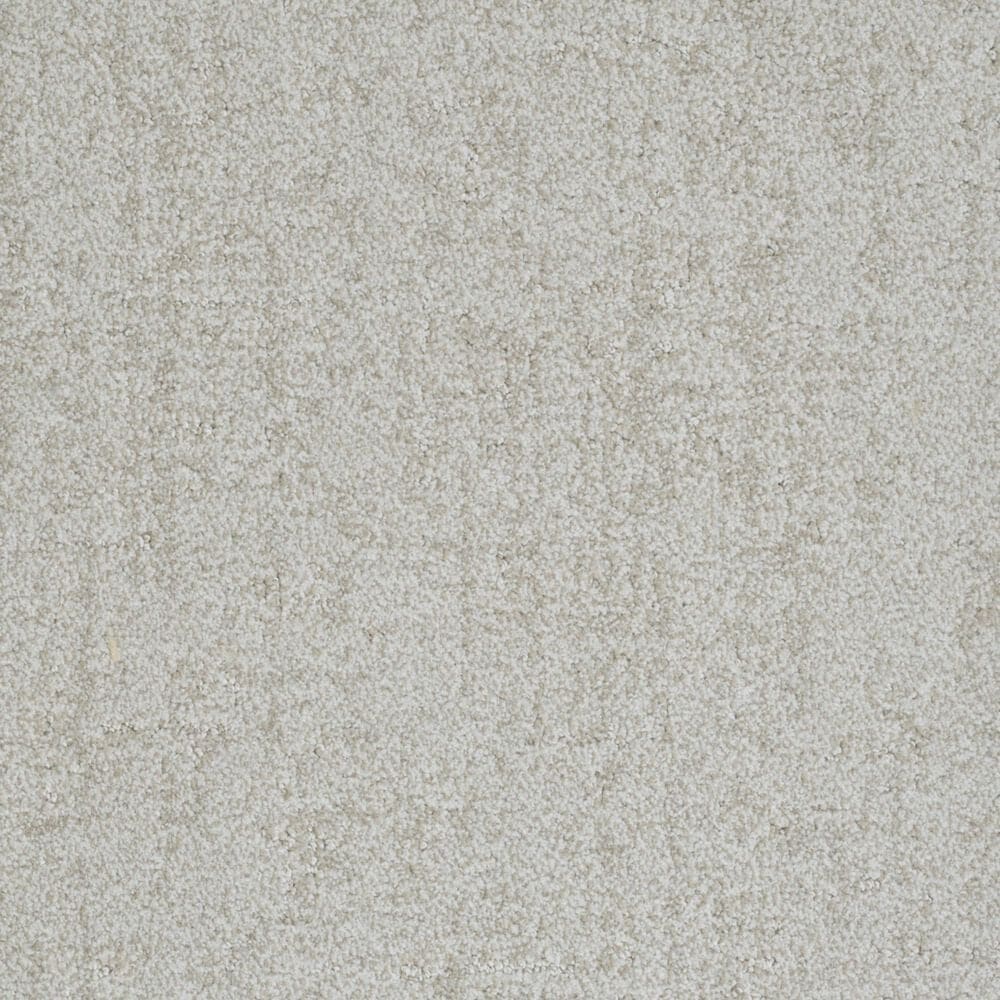 Dixie Home Genuine Carpet in Genuine, , large