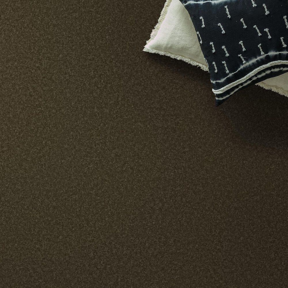 Anderson Tuftex Enduring Charm Carpet in Dark Olive, , large