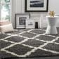Safavieh Dallas Shag SGD257A-5 5"1" x 7"6" Dark Grey/Ivory Area Rug, , large