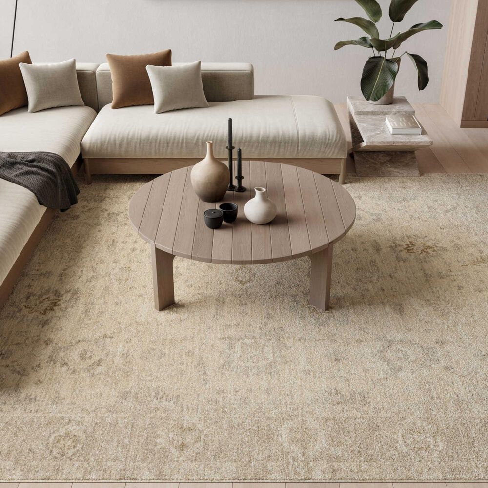 Nourison Moonlit MLI01 Ivory and Grey 9' x 12' Area Rug, , large