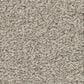 Shaw Del Rio I Carpet in Baltic Stone, , large