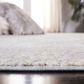 Safavieh Webster WBS332G 6"7" Square Grey and Beige Area Rug, , large