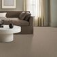 Anderson Tuftex Illumination Carpet in Silhouette, , large
