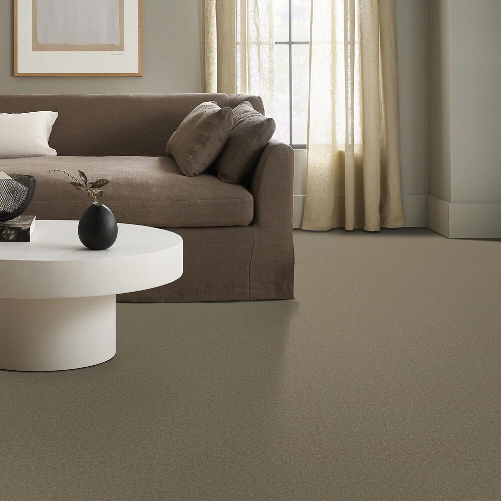 Anderson Tuftex Elegant Beauty Carpet in Slate, , large