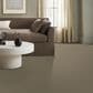 Anderson Tuftex Elegant Beauty Carpet in Slate, , large