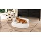 Jennifer Taylor Home Shep Dog Sofa Bed in Ivory White, , large
