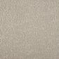Mohawk Mineral Effects Carpet in Birch, , large
