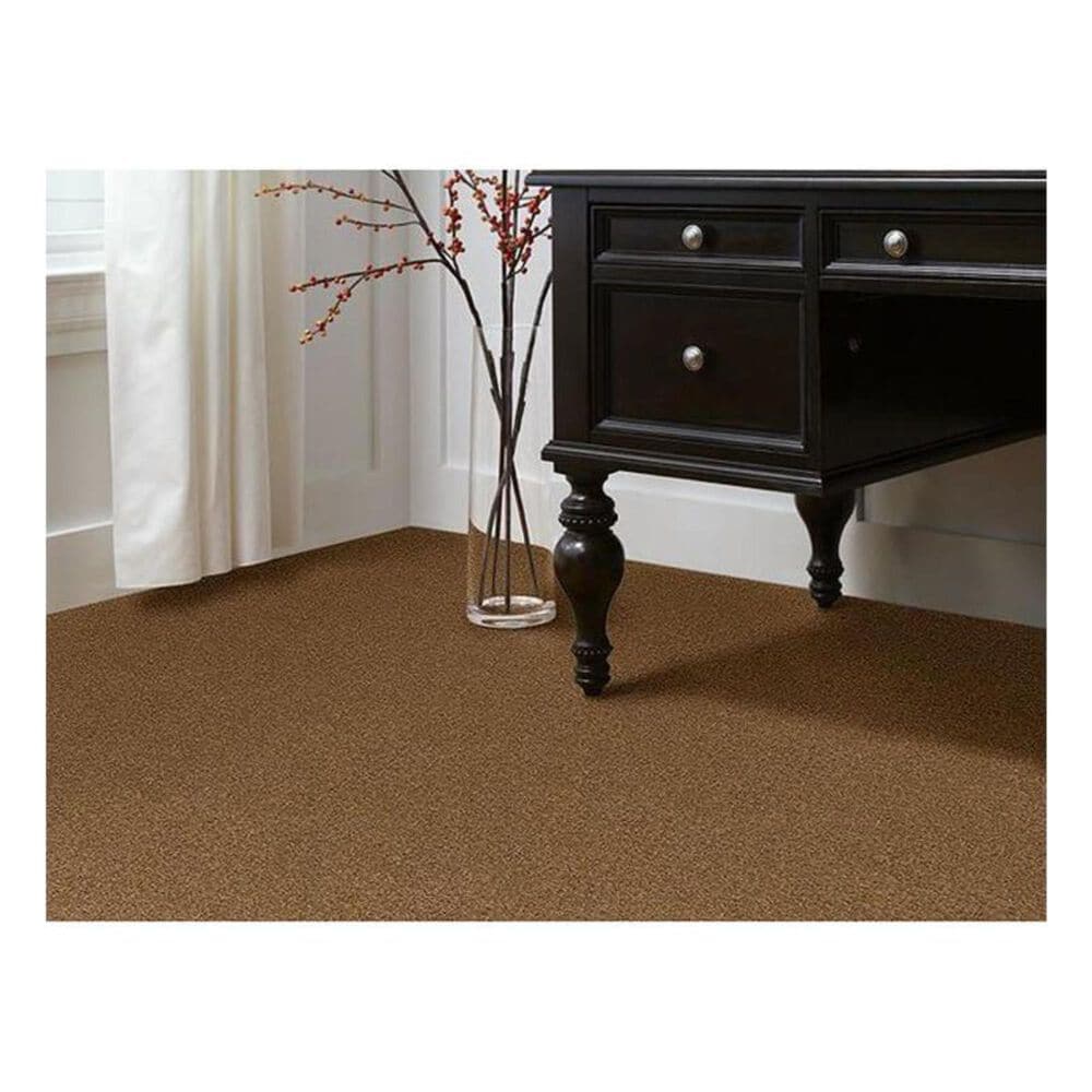 Shaw Phenomenal Carpet in Leather Bound, , large