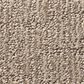 Shaw Roamer Carpet in Plains, , large
